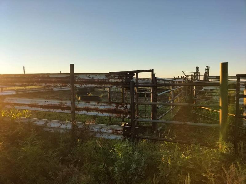 0 Bedroom Property for Sale in Ladybrand Free State
